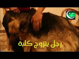 رجل يتزوج كلبة ويصرح على المباشر (انا احبها) - فيديو Dailymotion