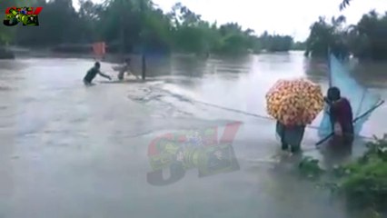 VERY DANGEROUS  FLOOD IN ARARIA KISHANGANJ INDIA