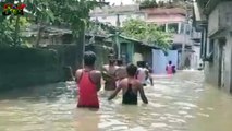 KATIHAR  FLOOD IS VERY DANGEROUS IN ARARIA ,KATIHAR, INDIA