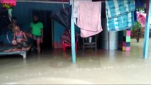 VERY DANGEROUS FLOOD IN ARARIA ,KATIHAR, INDIA