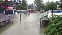 INDIA'S PAINFUL FLOOD IN ARARIA ,KATIHAR,KISHANGANJ  INDIA