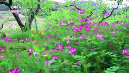 한국기행 - Korea travel_금쪽같은 내 사랑 3부 내 멋대로 산다_#001