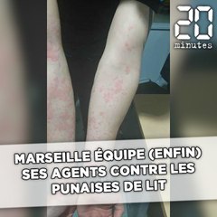 Marseille équipe (enfin!) ses agents contre les punaises de lit