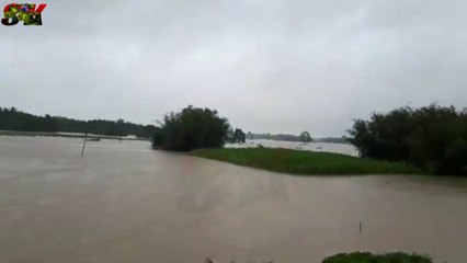 MOST PAINFUL FLOOD IN KISHAN GANJ, KATIHAR ,BIHAR,INDIA