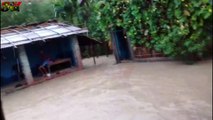 KISHAN GANJ FLOOD IS VERY DANGEROUS FLOOD IN KISHAN GANJ, KATIHAR ,BIHAR,INDIA
