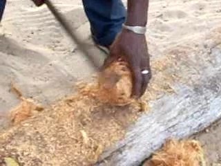 Paradise Beach, Banjul, Gambia