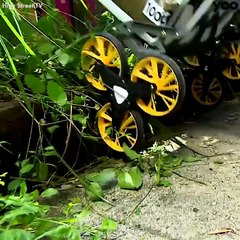 Коляска на всі випадки життя