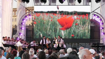 Ionut Dolanescu &Orc. Rapsodia Bihoreana ,dir. Liviu Butiu - Ma bate vantul ma bate