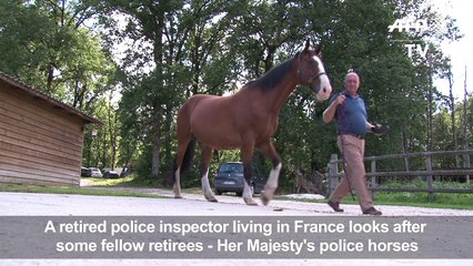 Her Majesty's horses retire in France's Dordogne