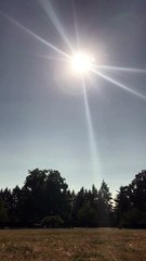 Eclipse From an Oregon Cemetery