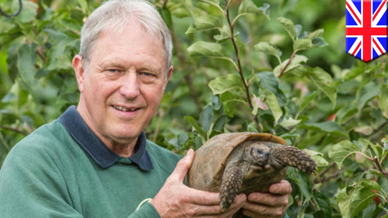 Animal rescue stories: Pet owner brings tortois...