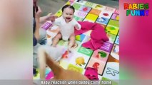 Babies's Reaction Daddy Comes Home Compilation 2017