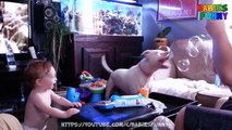 Funny Baby Laughing Hysterically at Dog Eating Bubbles - Funny Babies Video 2016