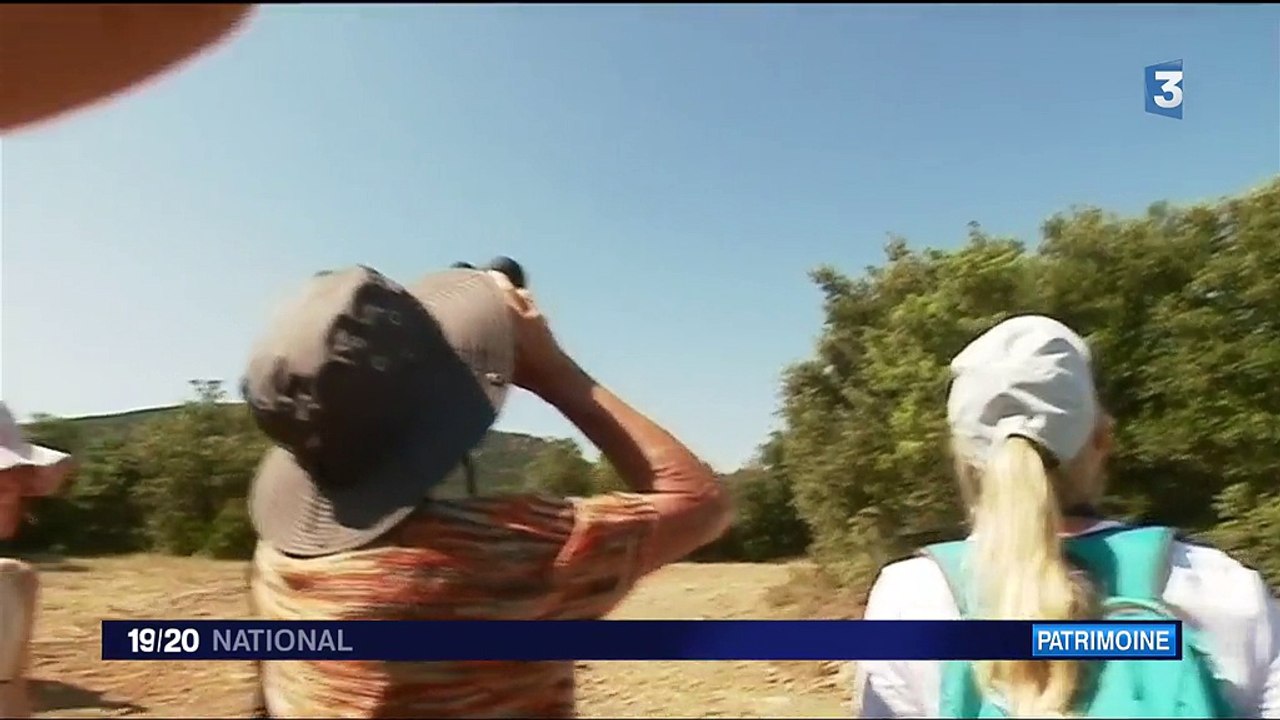 Les châteaux cathares, citadelles du vertige