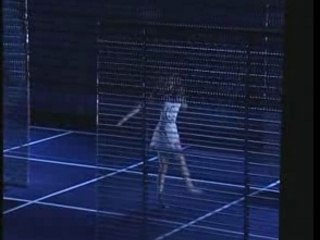 la cité radieuse - Flamand/Perrault