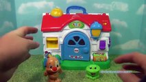 FISHER PRICE Laugh & Learn Puppy Activity Home TOY