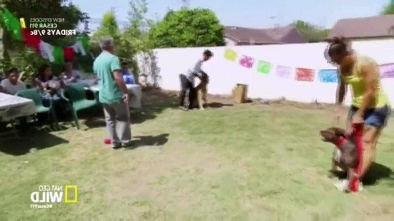 Cesar 911 S02E02