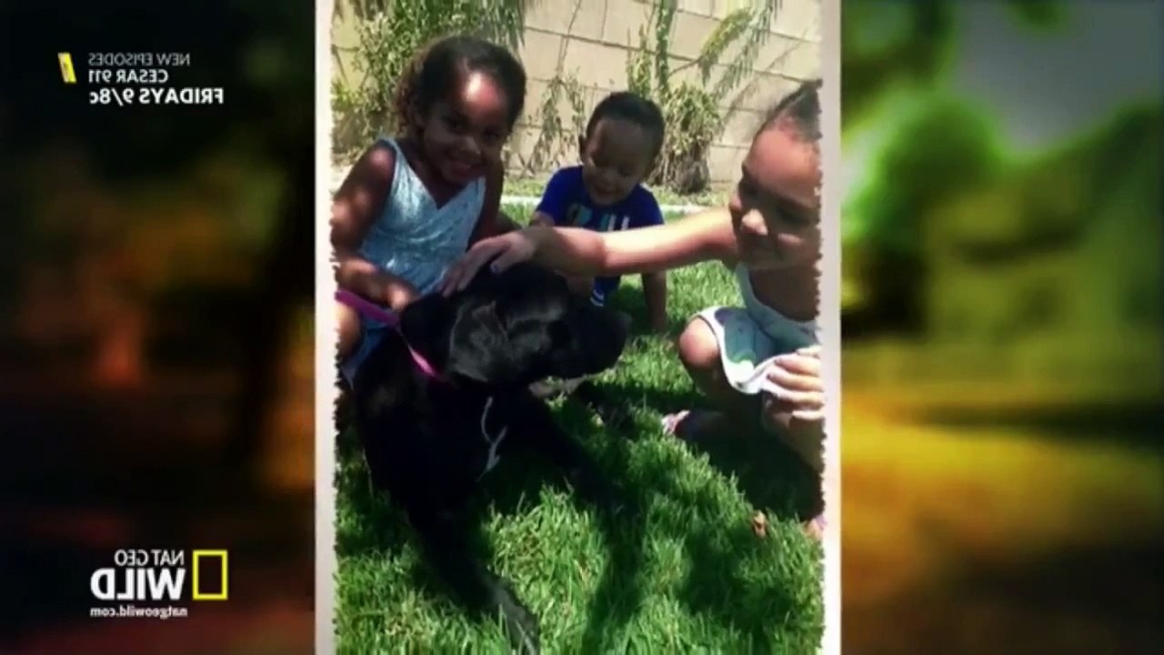 Cesar 911 S02E07