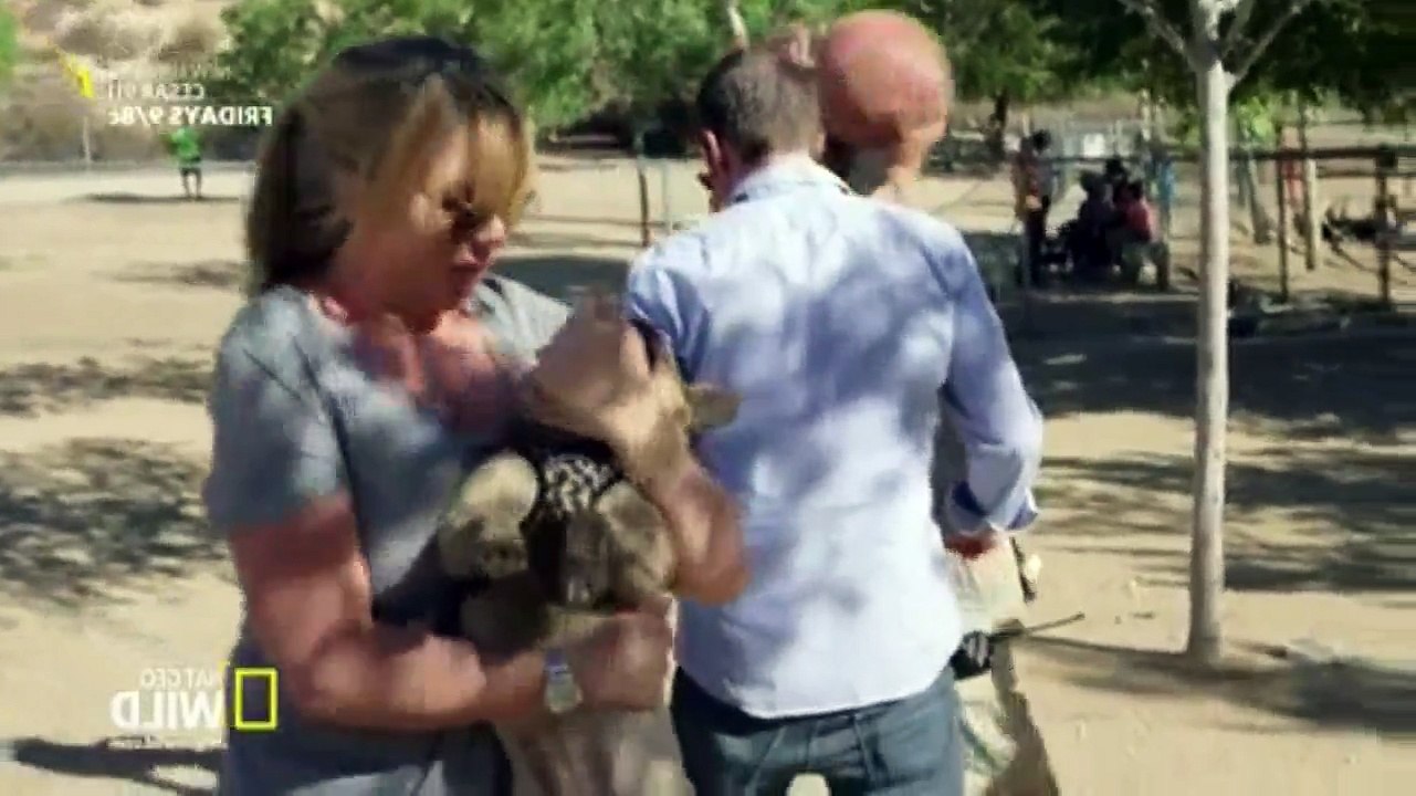Cesar 911 S02E09