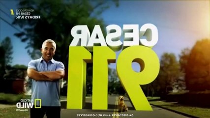 Cesar 911 S03E04