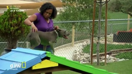 Cesar 911 S03E07