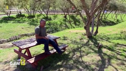 Cesar 911 S04E03