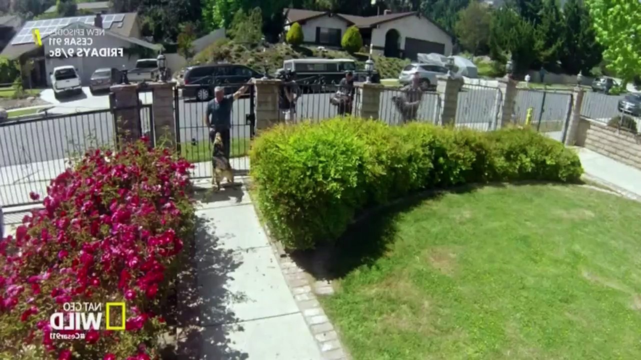 Cesar 911 S04E09