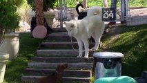 Cesar 911 S04E11