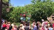 Slow Motion Release of the Macaw Parrots