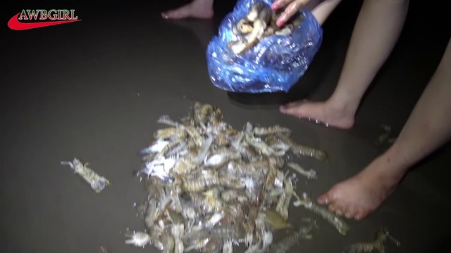 Beautiful Sexy Girl Traditional Fishing P1 - How to Catch Fish razor shell Simple Net Fishing