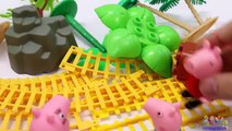 Enfants les couleurs éducatif pour apprentissage porc les tout-petits jouet Entrainer vidéo avec en bois Peppa