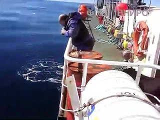 Un monstre marin surgit du fond de l'océan !