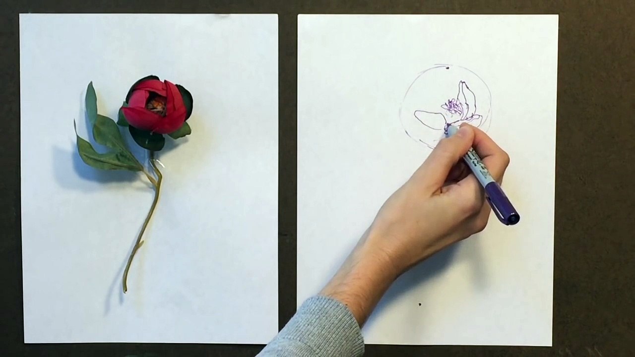 Cycle 2 Week 14 Botanical Drawing