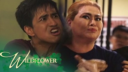 Wildflower: Arnaldo nearly kills Emilia | EP 129