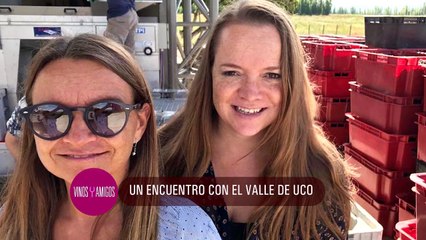 Vinos y Amigos Programa 168 Bloque 2