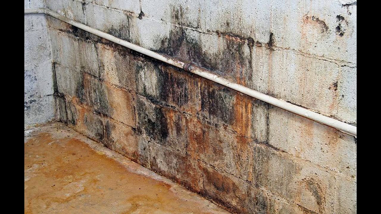 Home Inspector New York Tip For Maintaining Gutters and Downspouts