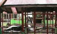 8 Sekolah Hangus Terbakar