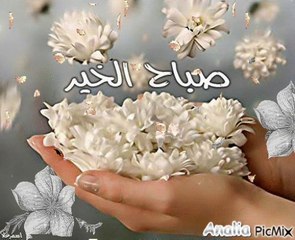 صباح الخير على السريع يا عمري