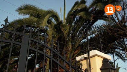 Irreversible - Capítulo 31 - Las joyas de la nana -pt2