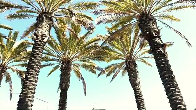 3 EASY SUMMER OUTFITS FOR MEN 2017 MEN'S FASHION & STYLE INSPIRATION LOOKBOOK Alex Costa - YouTube