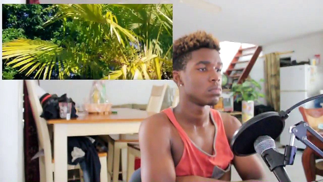 Niska - Reseaux (RÉACTION)