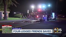 Woman grateful for firefighters for saving pets