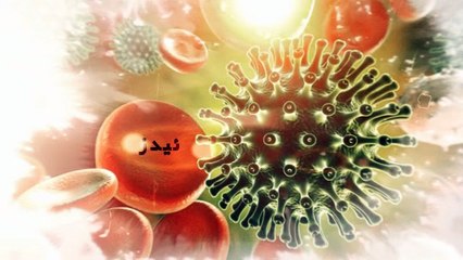 ژان و ژیان - میوانی  بەرنامە :  کاک مستەفا  شێخە نووسەر