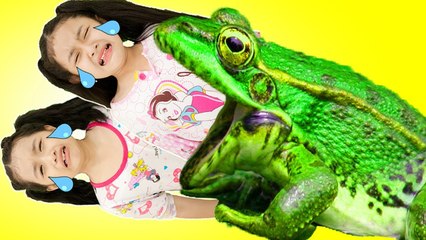 [Bad Baby] Bad Kids Victoria et Annabelle vs GIANT FROG dans BATH avec Children Song Kids Nursery Rhyme