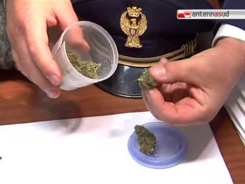 TG 10.10.12 A Canosa la Guardia di finanza sequestra 120 chili di marijuana