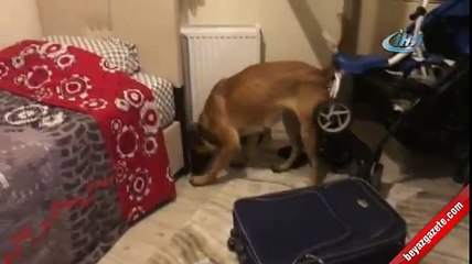 Ameliyathanede bekleyip 'baron'u yakaladılar