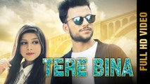 Tere Bina HD Video Song Yankee 2017 New Punjabi Songs