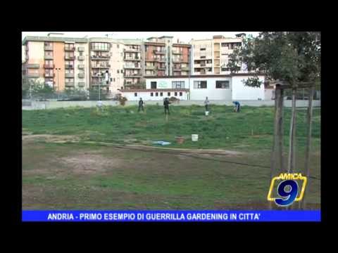ANDRIA | Primo esempio di guerrilla gardening