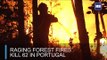 Raging forest fires kill 62 in Portugal