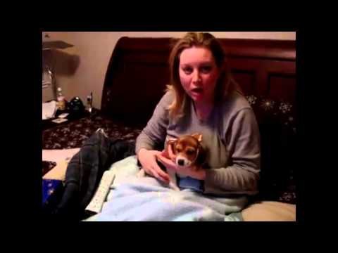 Girlfriend Gets Surprised With A Puppy
